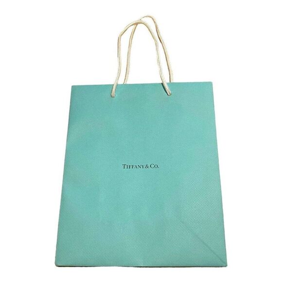 Authentic Gift Wrapping Empty Tiffany & Co. Shopping Bag 8”x9.75”x4” Present - Picture 1 of 6